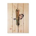 Wile E. Wood 14 x 20 in. Crousers Chickadee &amp; Cattail Wood Art DCCAC-1420